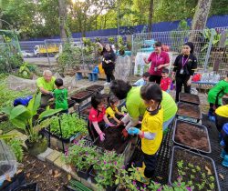 6a91cbbe-469b-41be-9a87-285475e6fd19