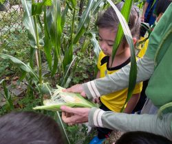 WhatsApp Image 2026-03-06 at 2.12.05 PM