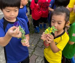 WhatsApp Image 2026-03-06 at 2.12.06 PM